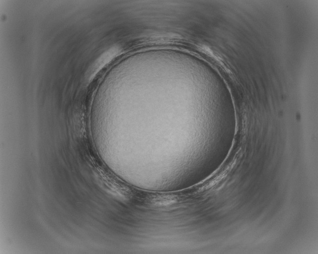 X0000075831211200609221631