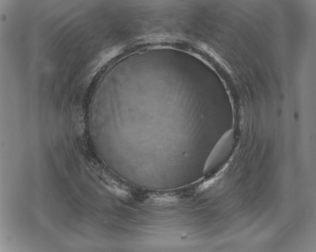 X0000075831213200609221631