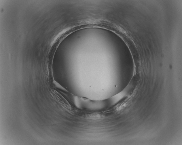 X0000075831214200609221631