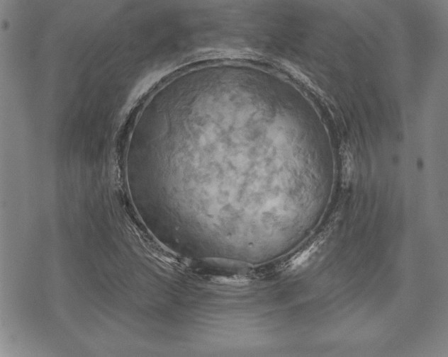 X0000075831215200609221631