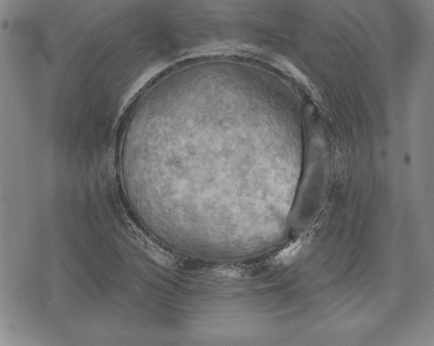 X0000075831216200609221631