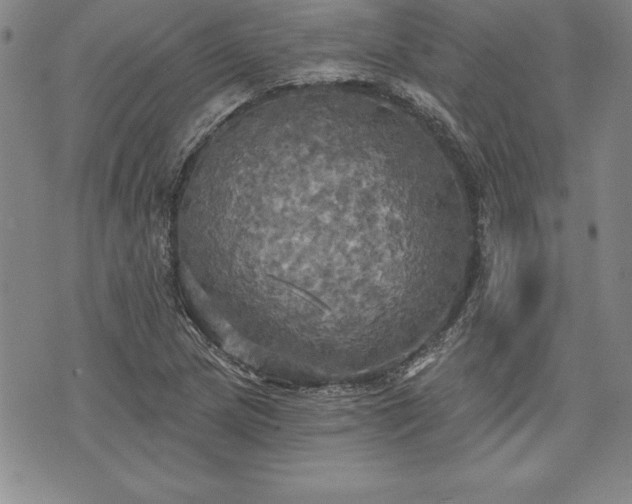 X0000075831217200609221631