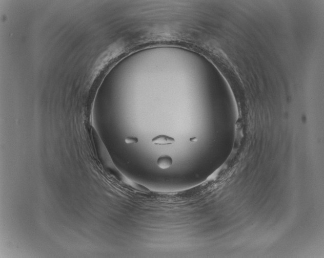 X0000075831218200609221631