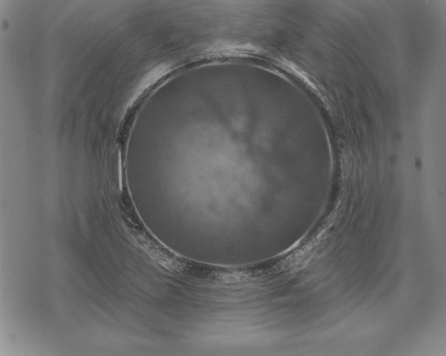 X0000075831219200609221631