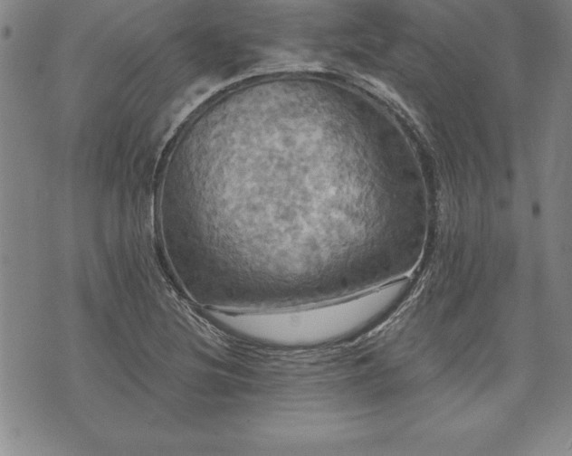 X0000075831220200609221631