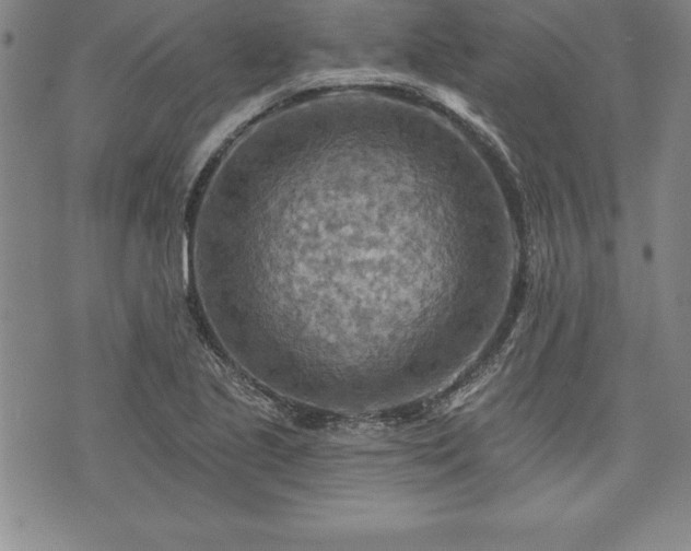 X0000075831221200609221631