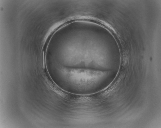 X0000075831223200609221631