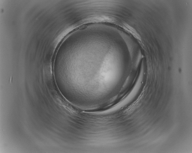 X0000075831226200609221632