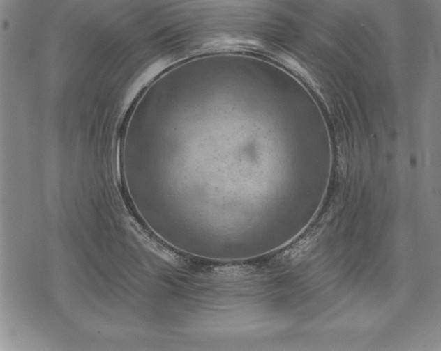 X0000075831227200609221632