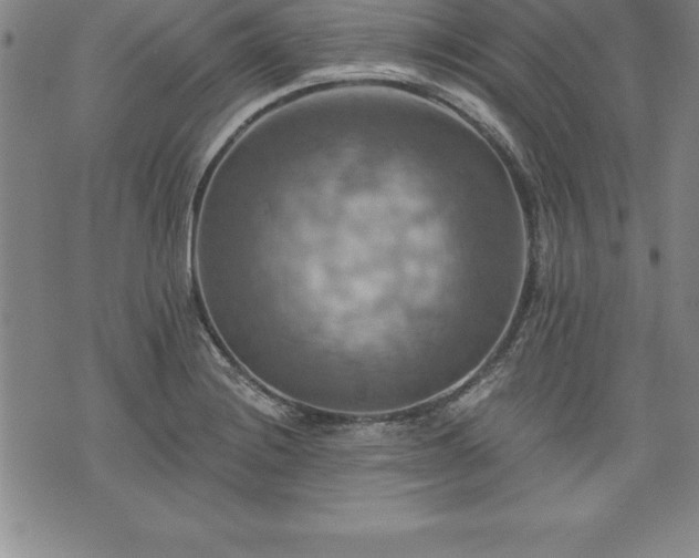 X0000075831228200609221632