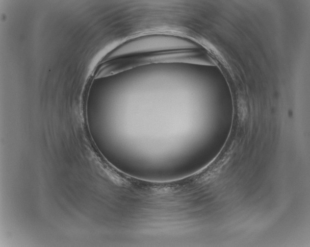 X0000075831230200609221632