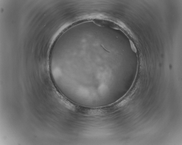 X0000075831232200609221632