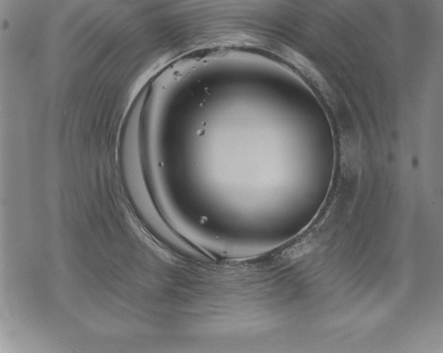 X0000075831234200609221632