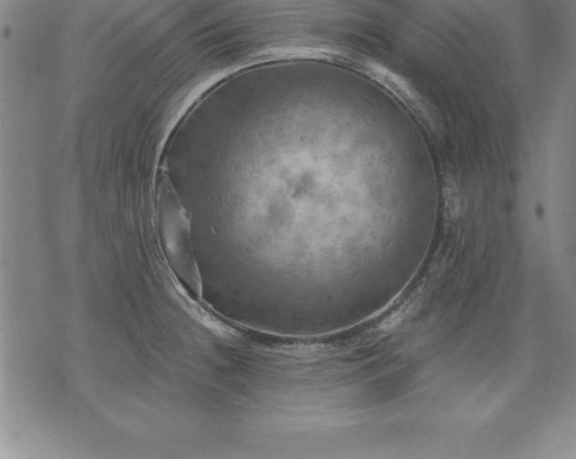 X0000075831236200609221632