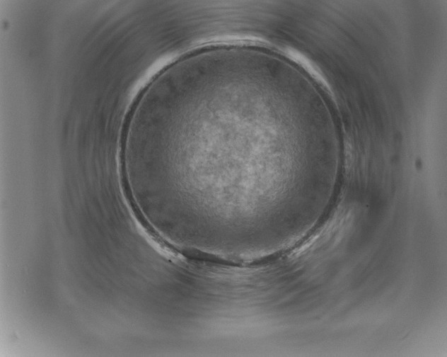 X0000075831237200609221632