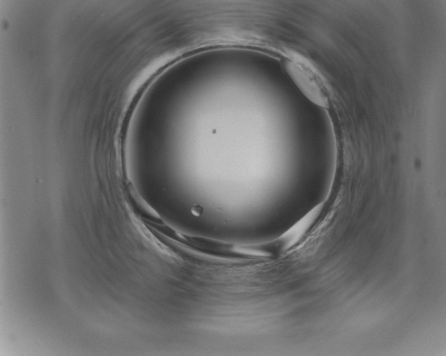 X0000075831238200609221632