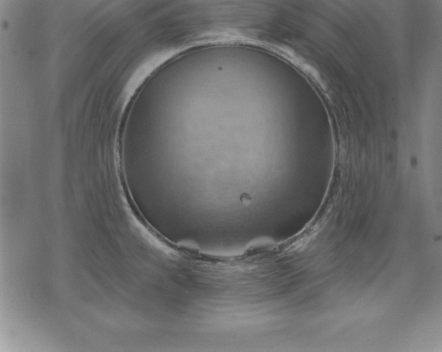 X0000075831239200609221632