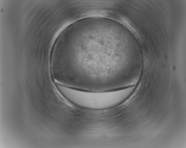 X0000075831240200609221632