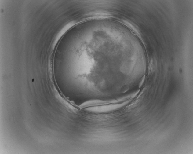 X0000075831243200609221632