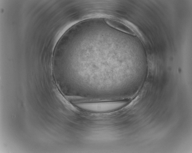 X0000075831244200609221632