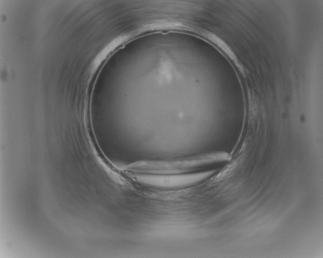 X0000075831245200609221632