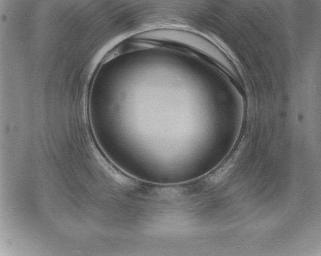 X0000075831246200609221632