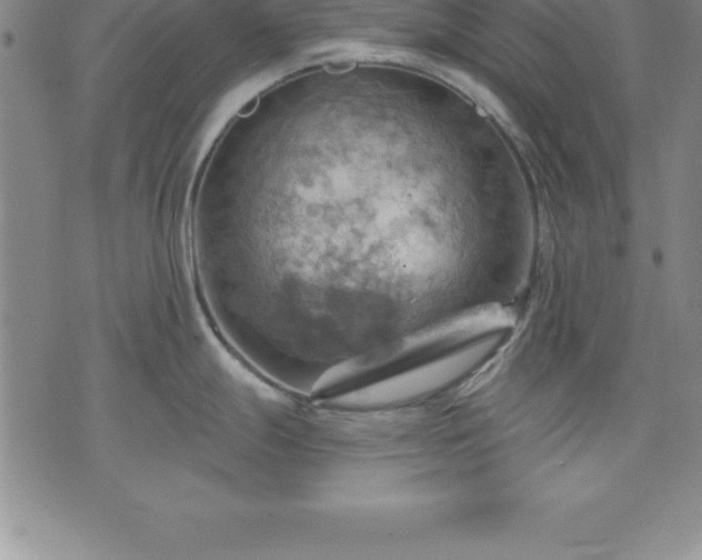 X0000075831247200609221632