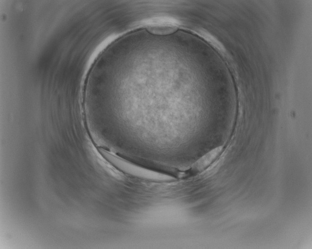 X0000075831248200609221632