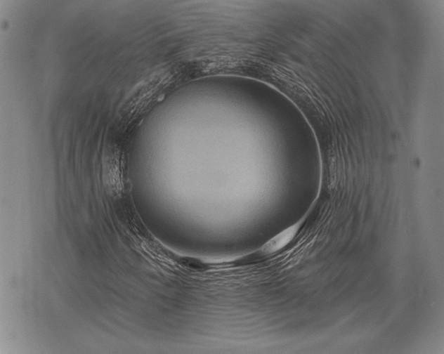 X0000075831250200609221631