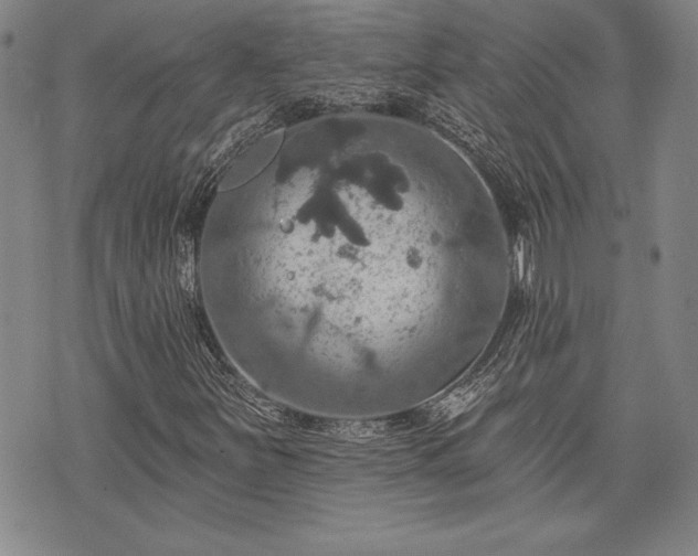 X0000075831251200609221631