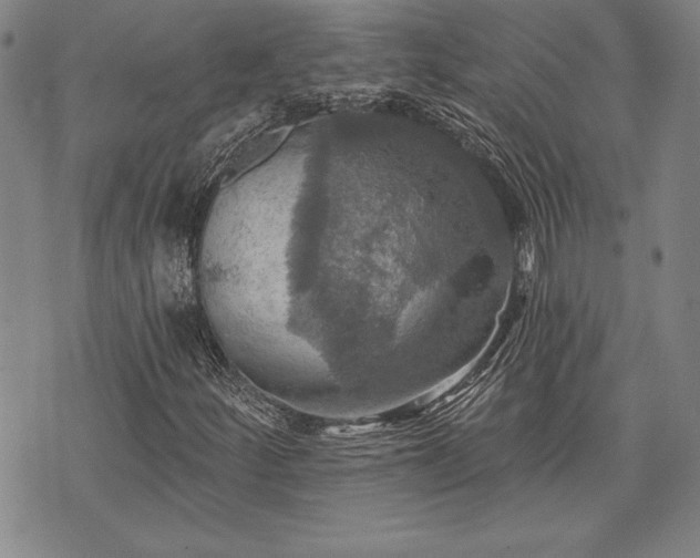 X0000075831252200609221631