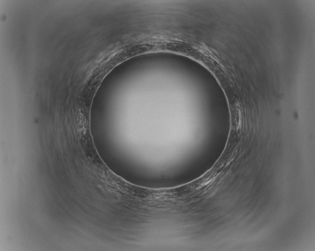 X0000075831253200609221631