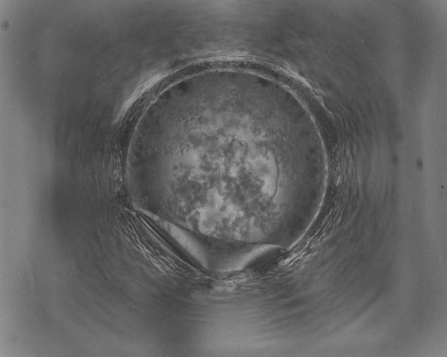 X0000075831255200609221631