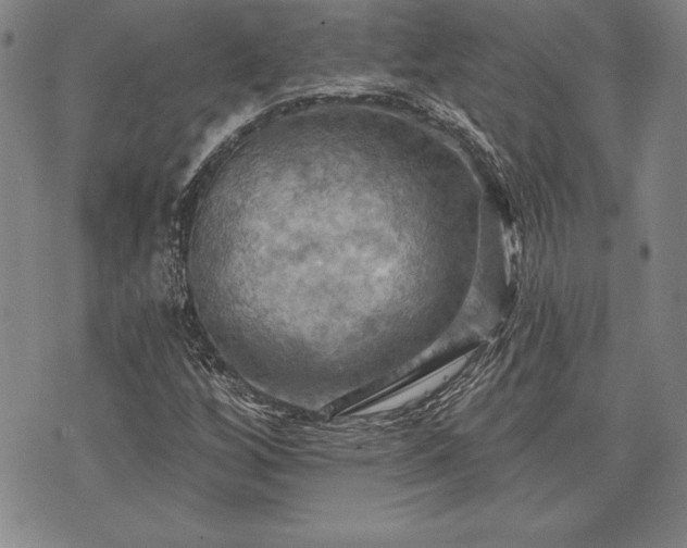 X0000075831256200609221631