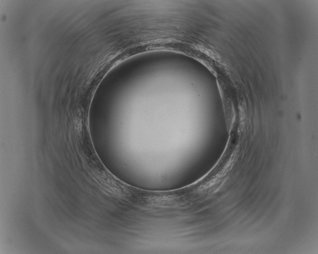 X0000075831257200609221631