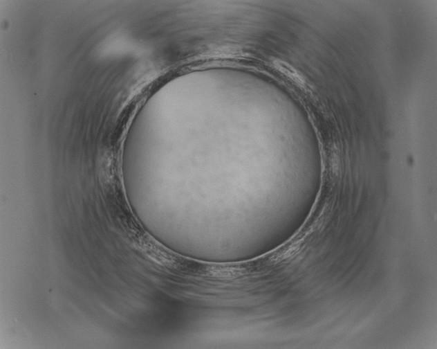 X0000075831258200609221631