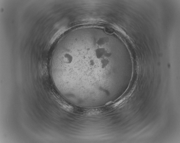 X0000075831259200609221631