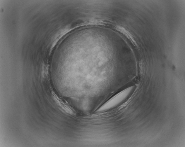 X0000075831260200609221631