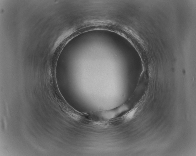 X0000075831261200609221631