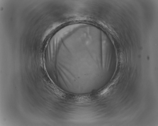 X0000075831262200609221631