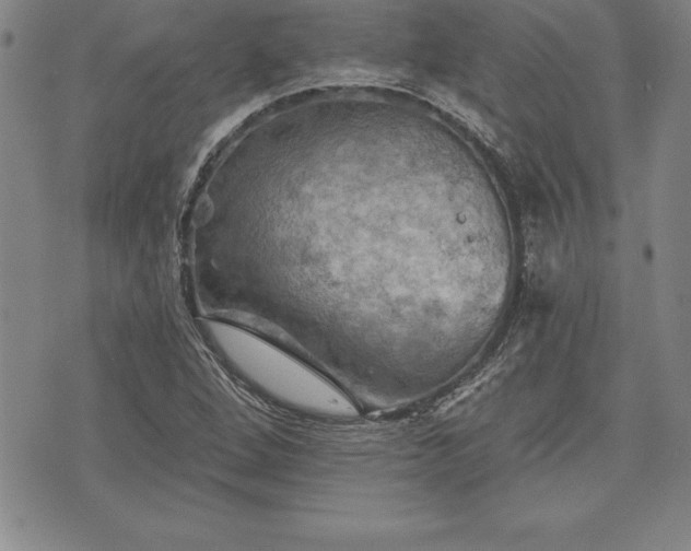 X0000075831264200609221631