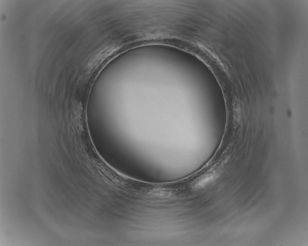 X0000075831265200609221631