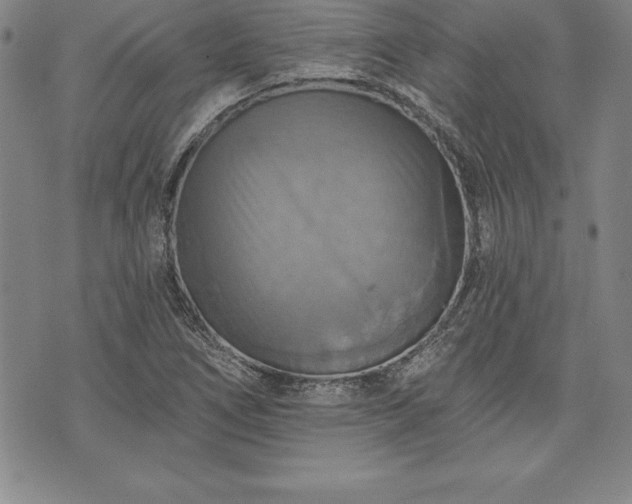 X0000075831266200609221631