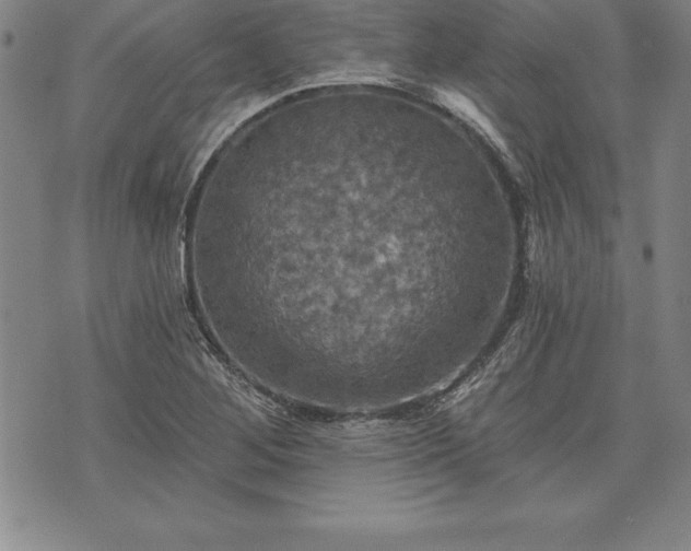 X0000075831268200609221631