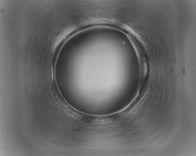 X0000075831269200609221631