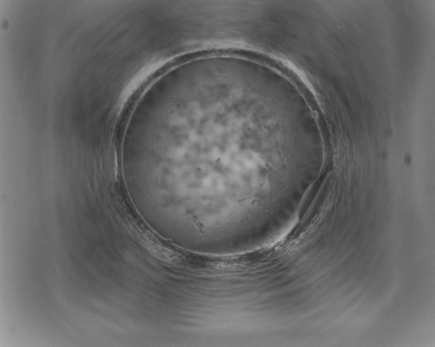 X0000075831271200609221631