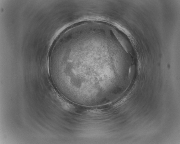 X0000075831272200609221631