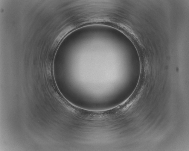 X0000075831273200609221631