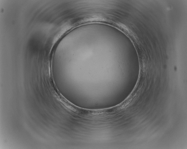 X0000075831274200609221631