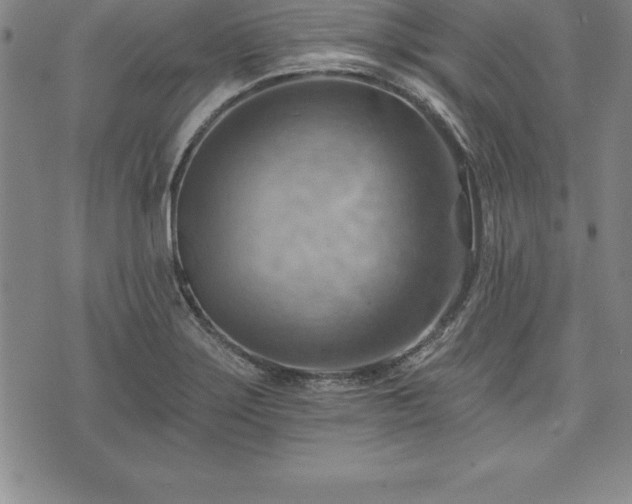 X0000075831275200609221631